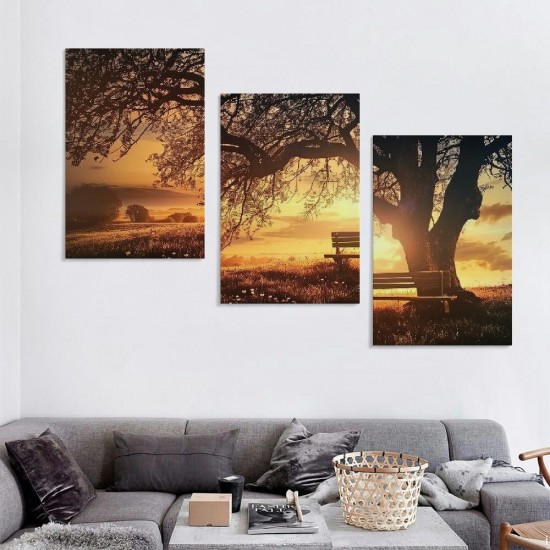 Wall Art Decor Canvas Print Picture Big Trees in Sunset Sunset Forest Natural Landscape Painting Artwork for Living Room Office Home Wall Decor Framed Ready to Hang