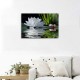 Canvas Prints Zen Wall Art Lotus Flower Prints Pictures for Bathroom Decor Spiritual Meditation Poster Artwork for Spa Decor Framed Read to Hang